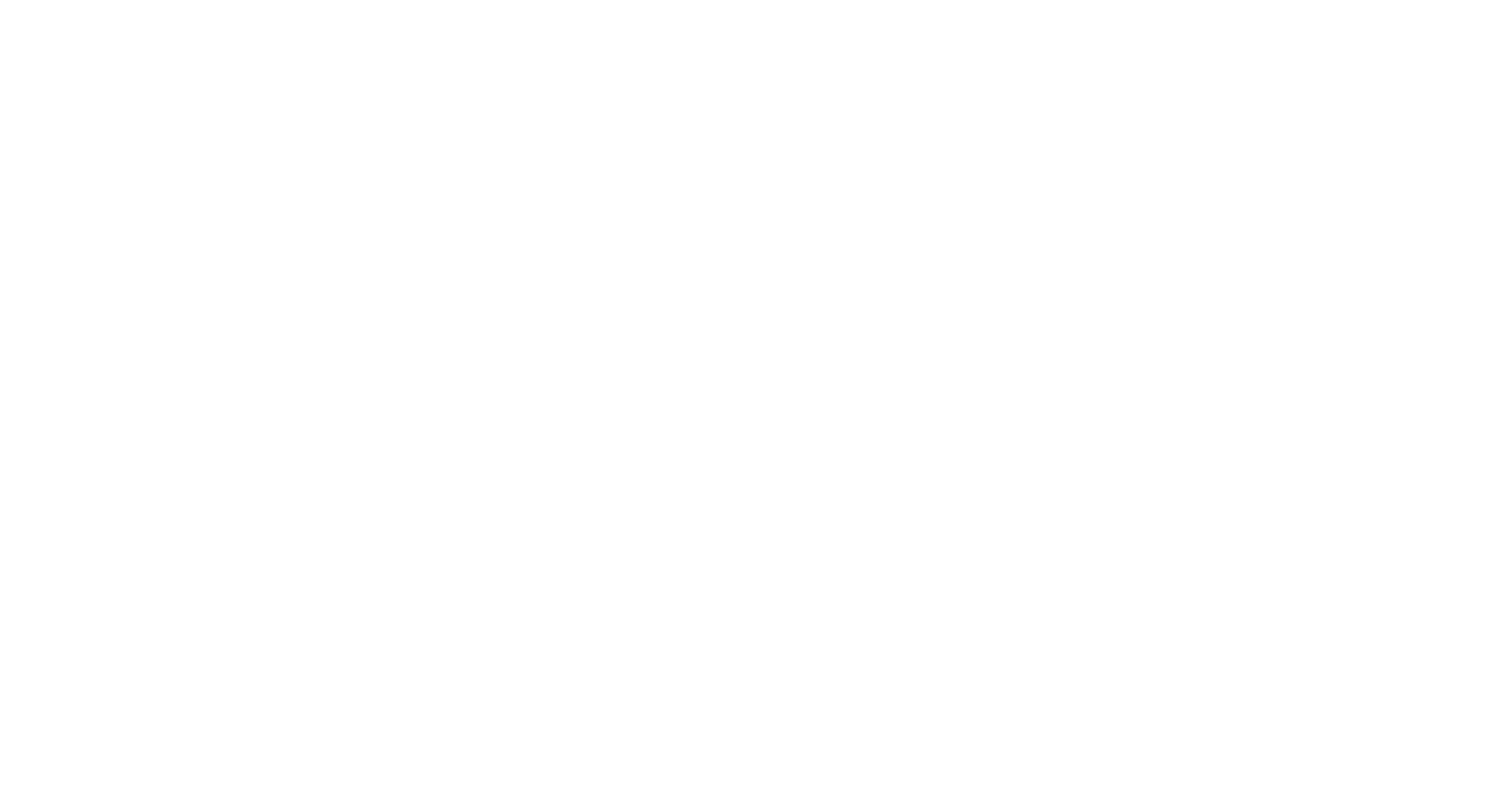 NightDragon-iboss-logo-white@2x